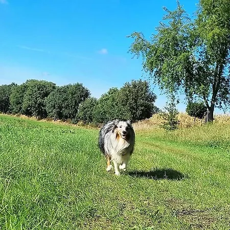 Kuestenkind Mit Sauna Und Balkon - Hunde Willkommen Dorum